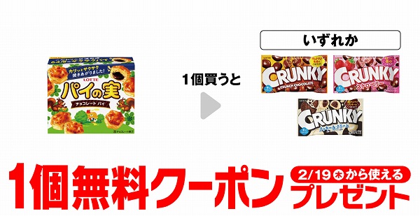 ロッテパイの実 