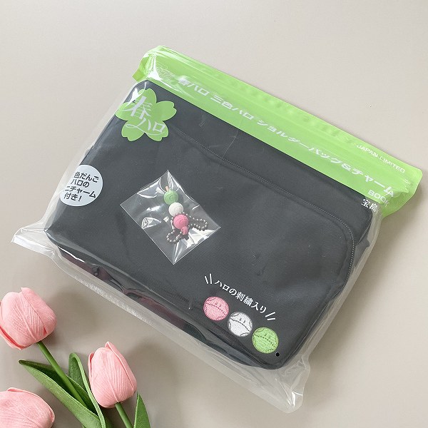 機動戦士ガンダム