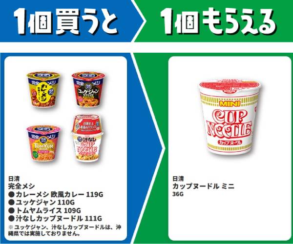 日清　完全メシ　カレーメシ　王風カレー他