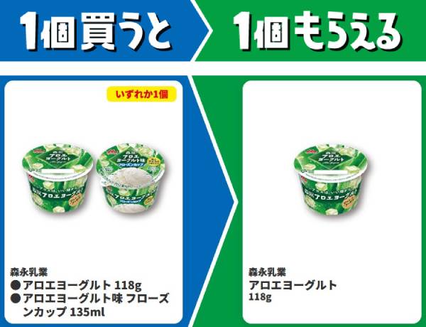 森永乳業　アロエヨーグルト　118g/アロエヨーグルト味　フローズンカップ　135ml