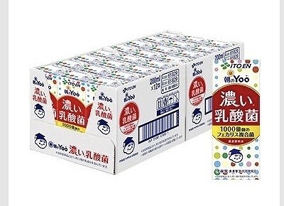 伊藤園　朝のYoo　濃い乳酸菌　200ml×24個