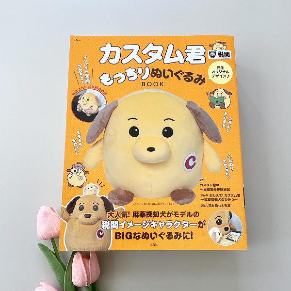 『カスタム君もっちりぬいぐるみBOOK』