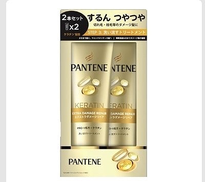 パンテーン エクストラダメージケア デイリー集中トリートメント 300g×2本