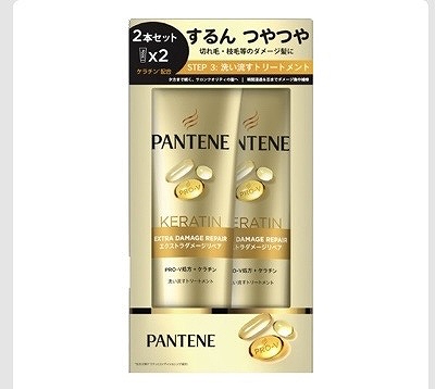 パンテーン エクストラダメージケア デイリー集中トリートメント 300g×2本